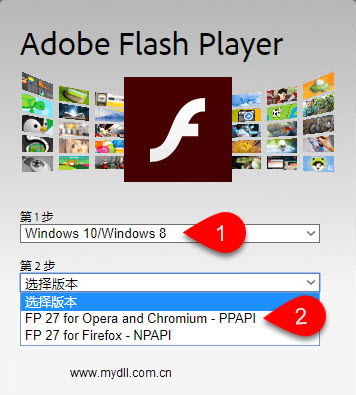 选择Flash Player版本